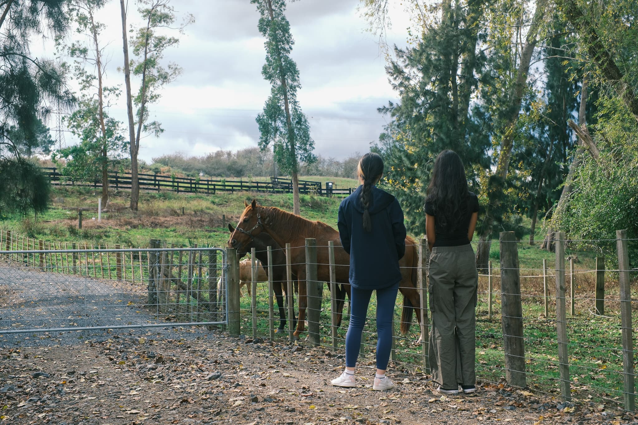 TANSA Camp 2025 photo 316