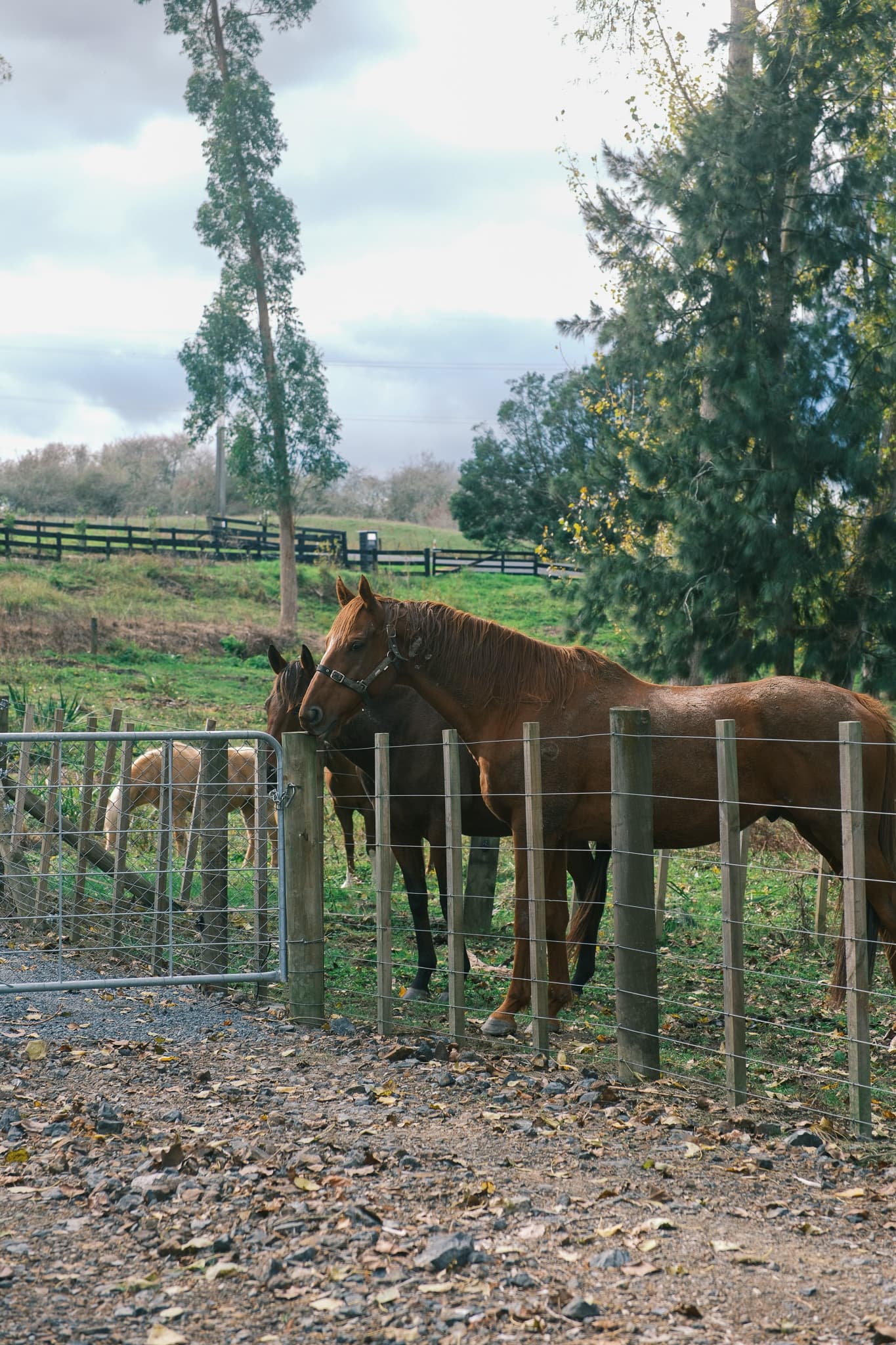 TANSA Camp 2025 photo 317
