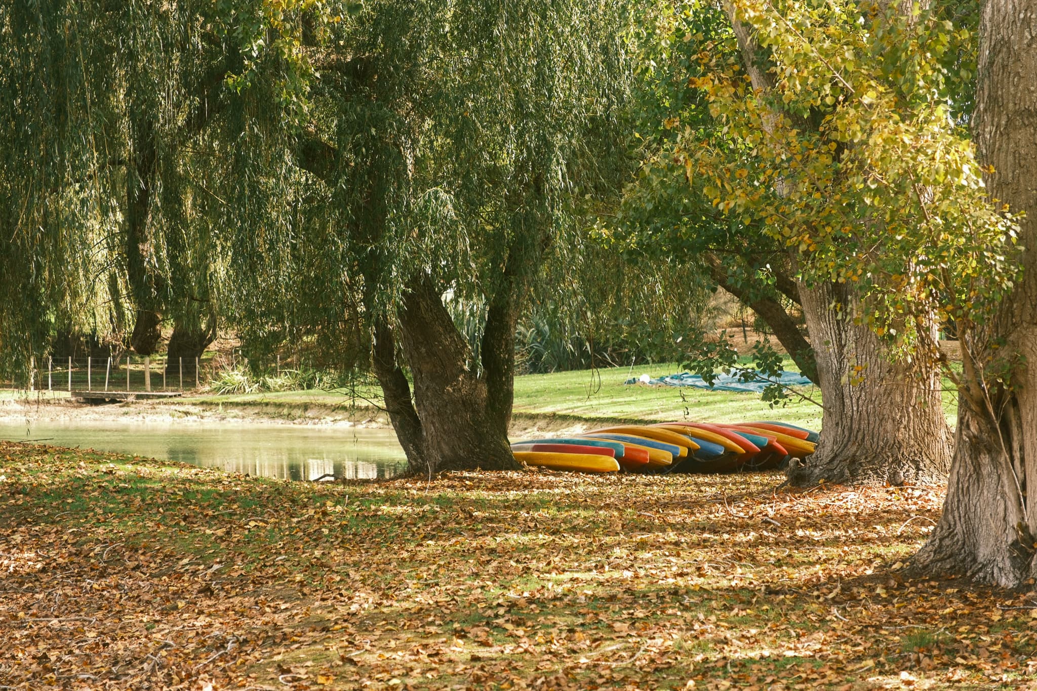 TANSA Camp 2025 photo 318