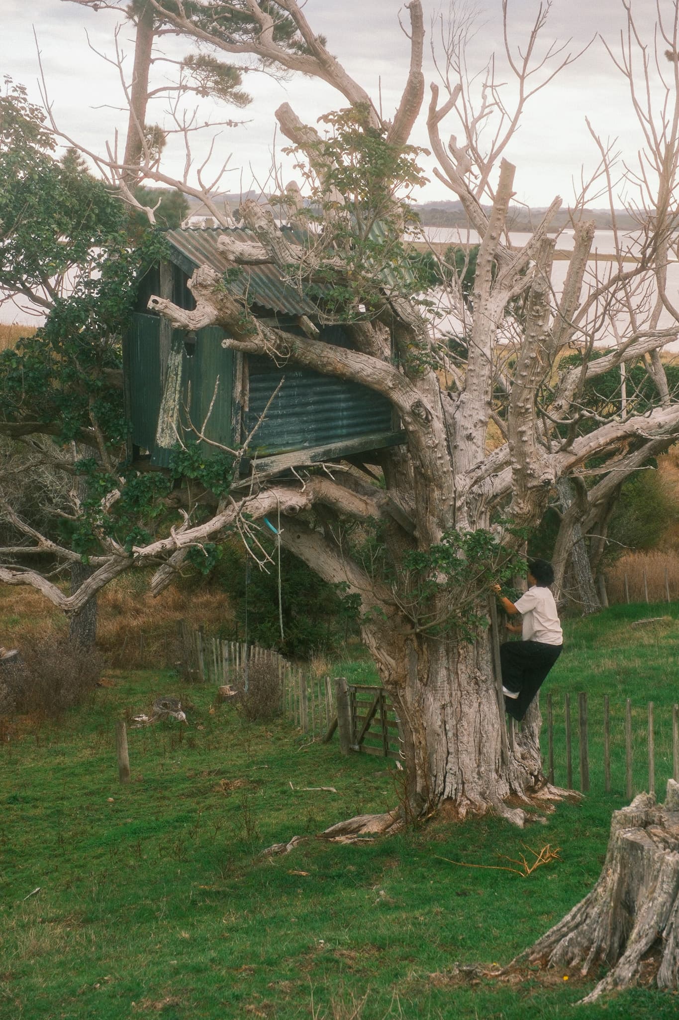 TANSA Camp 2025 photo 116