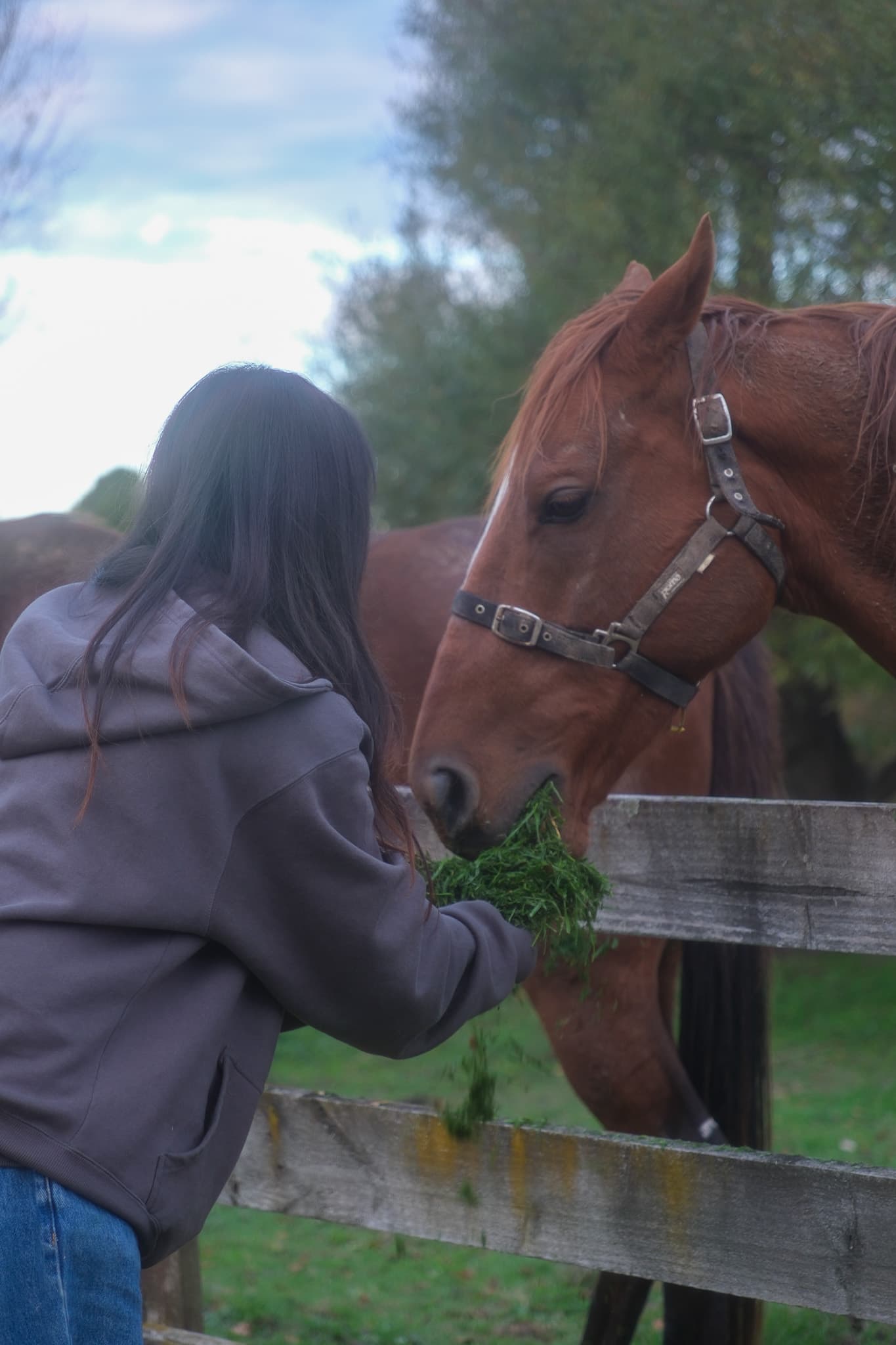 TANSA Camp 2025 photo 124