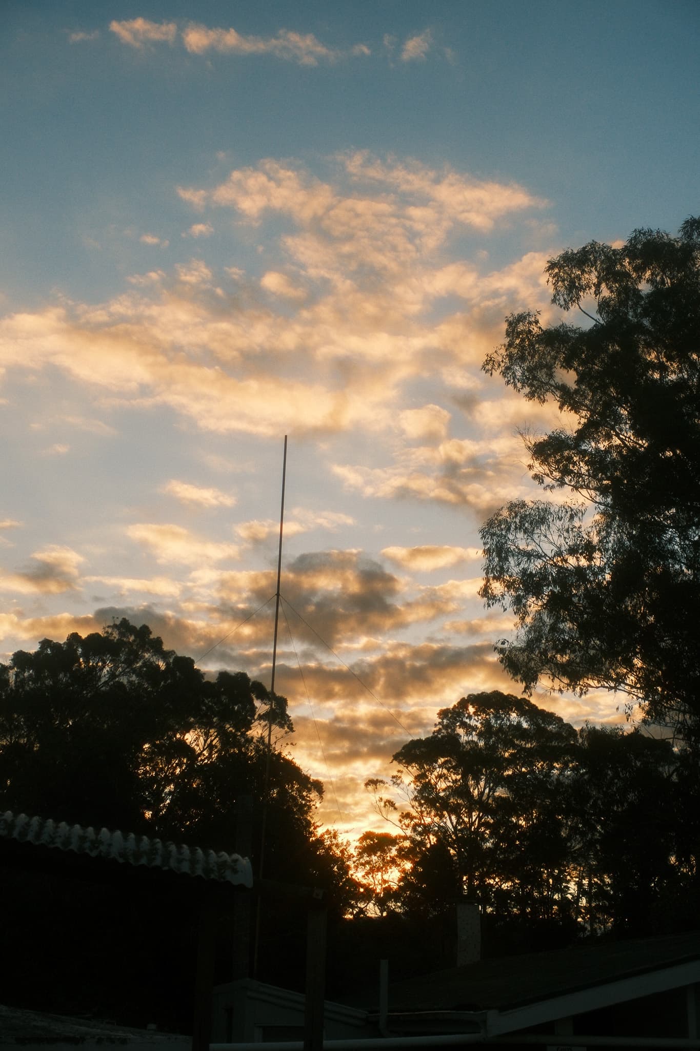 TANSA Camp 2025 photo 133