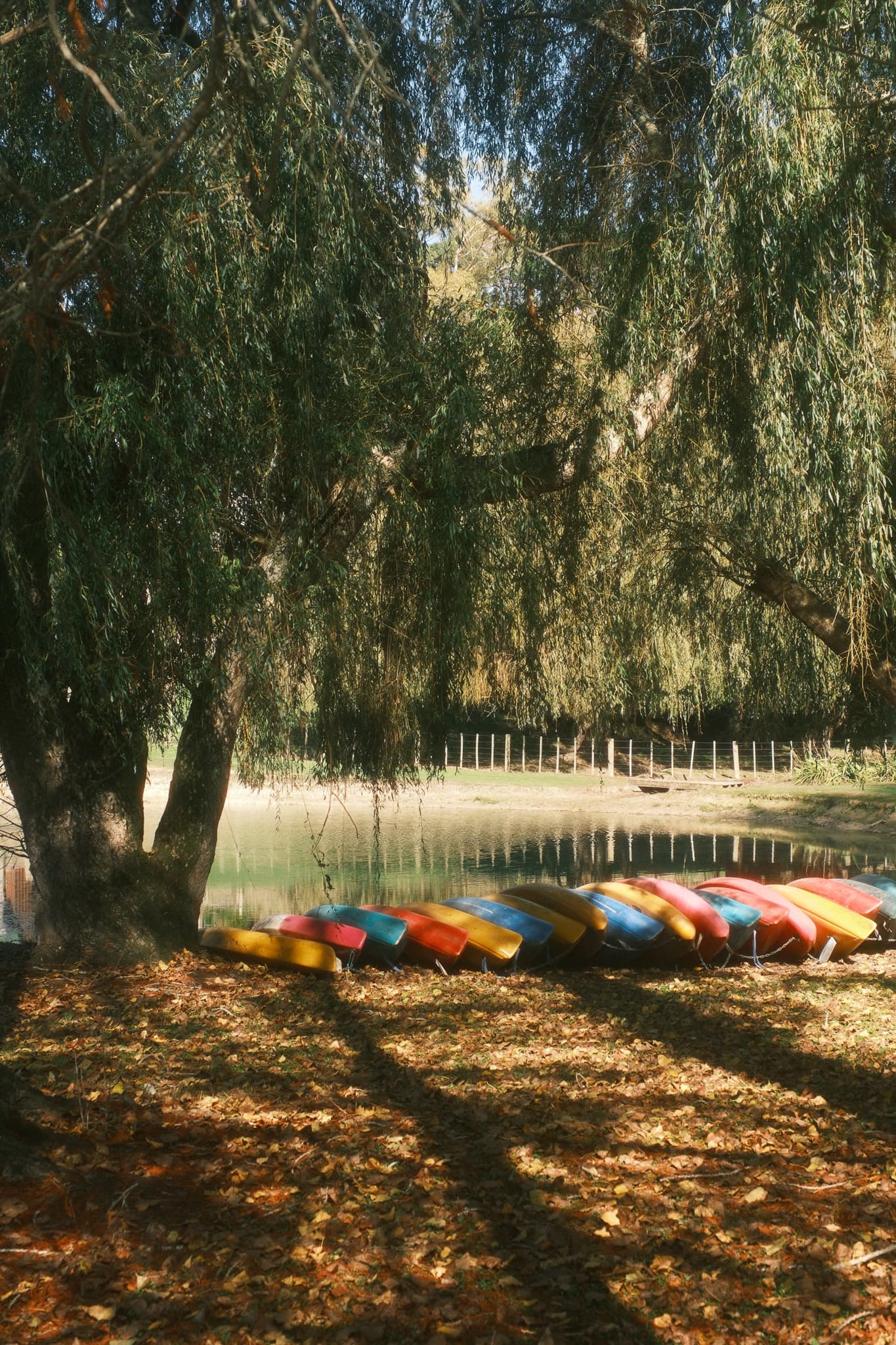 TANSA Camp 2025 photo 162