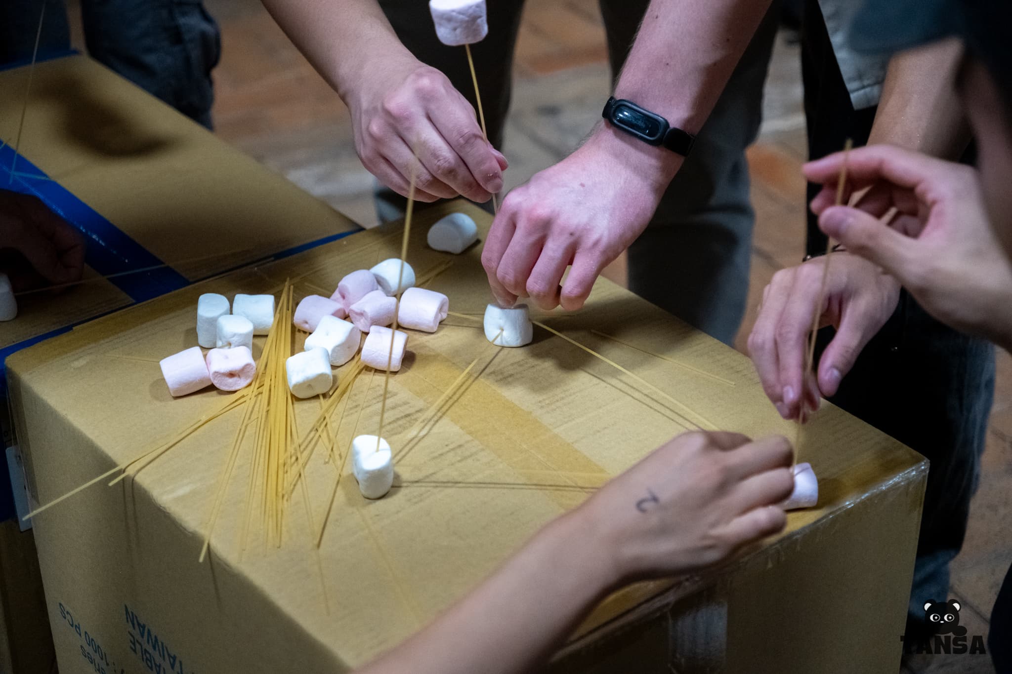 Freshers 2026 photo 60