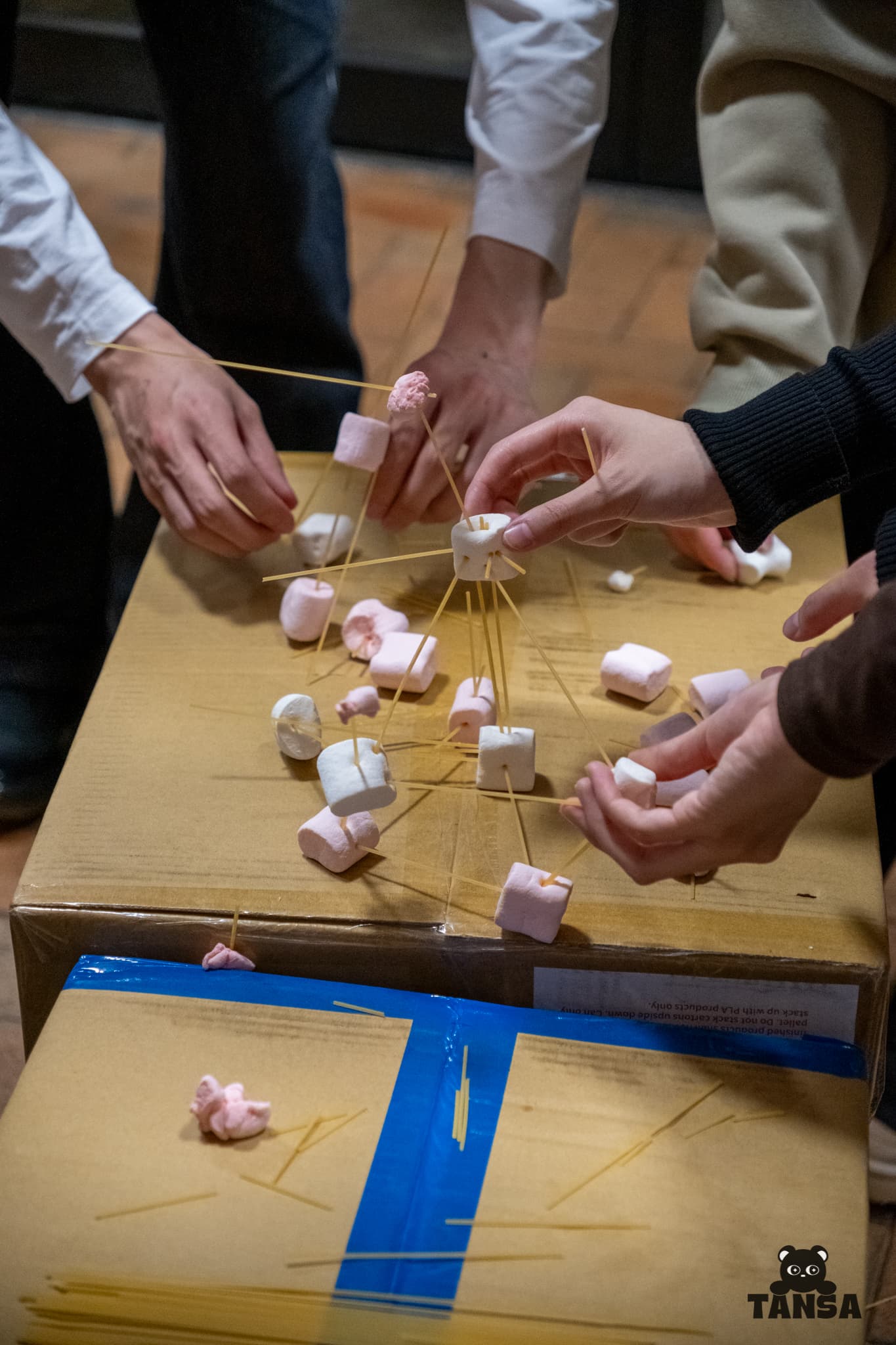 Freshers 2026 photo 67