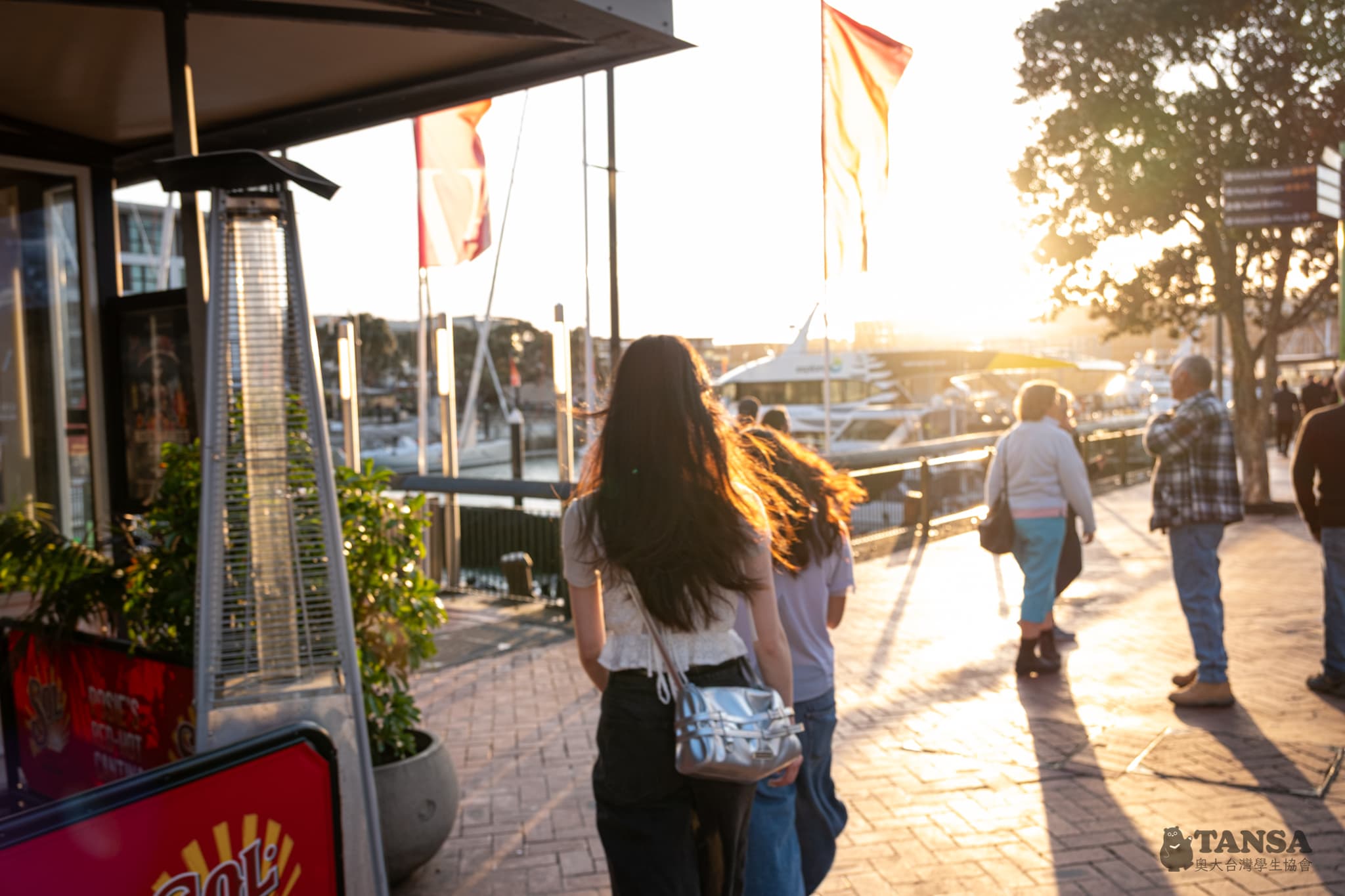 Bear Hunting 2025 photo 49