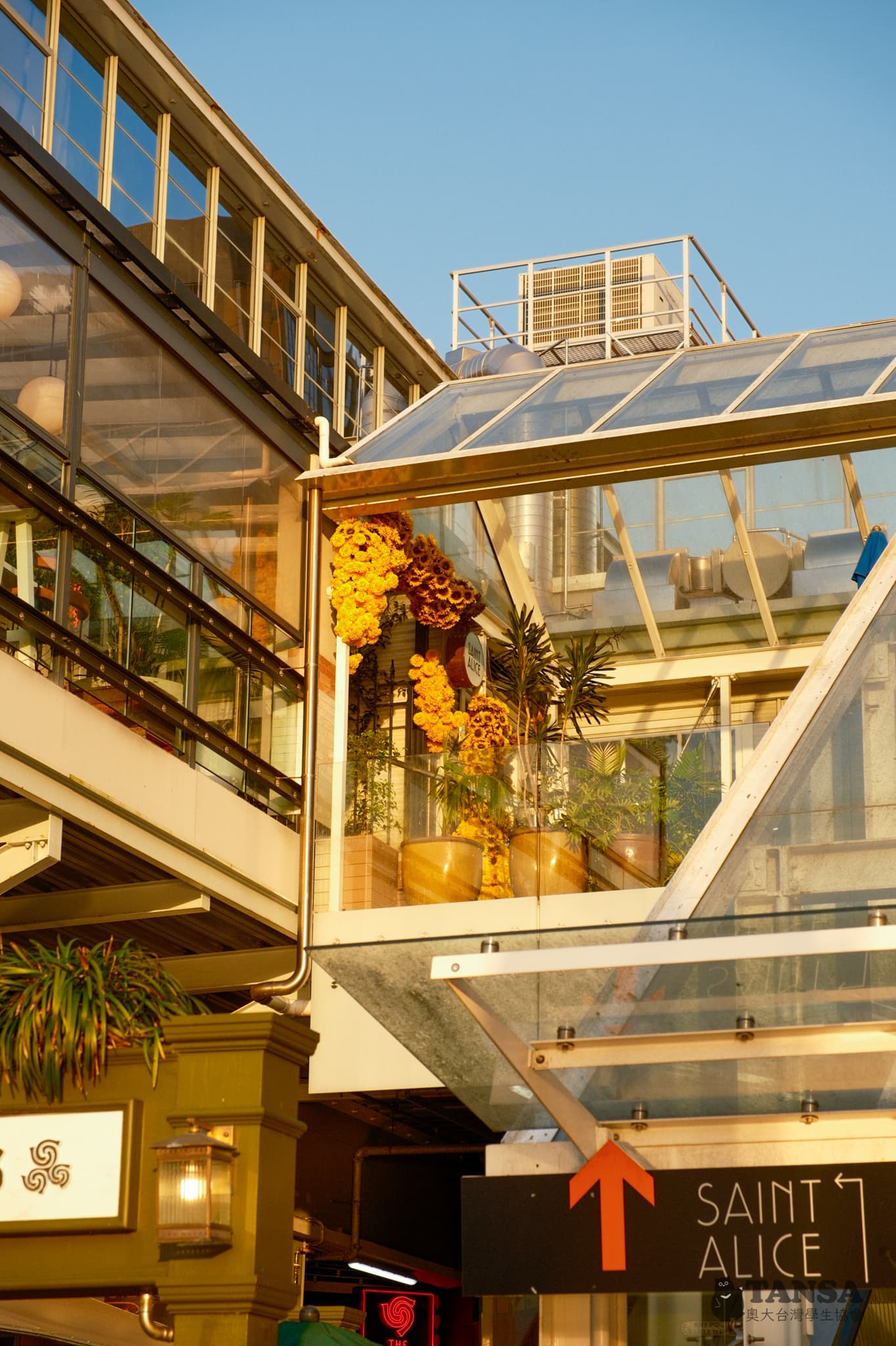 Bear Hunting 2025 photo 50