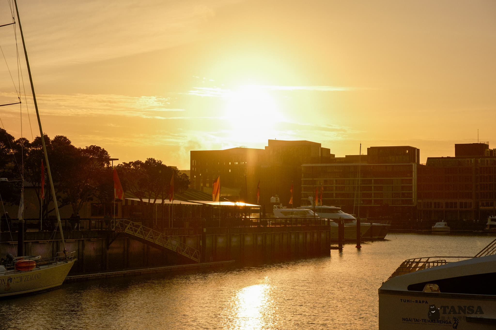 Bear Hunting 2025 photo 52