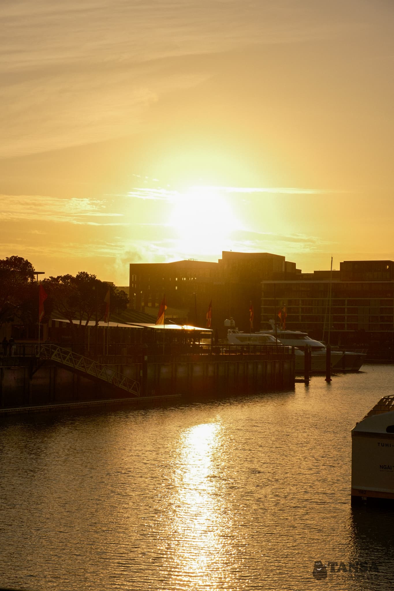 Bear Hunting 2025 photo 53