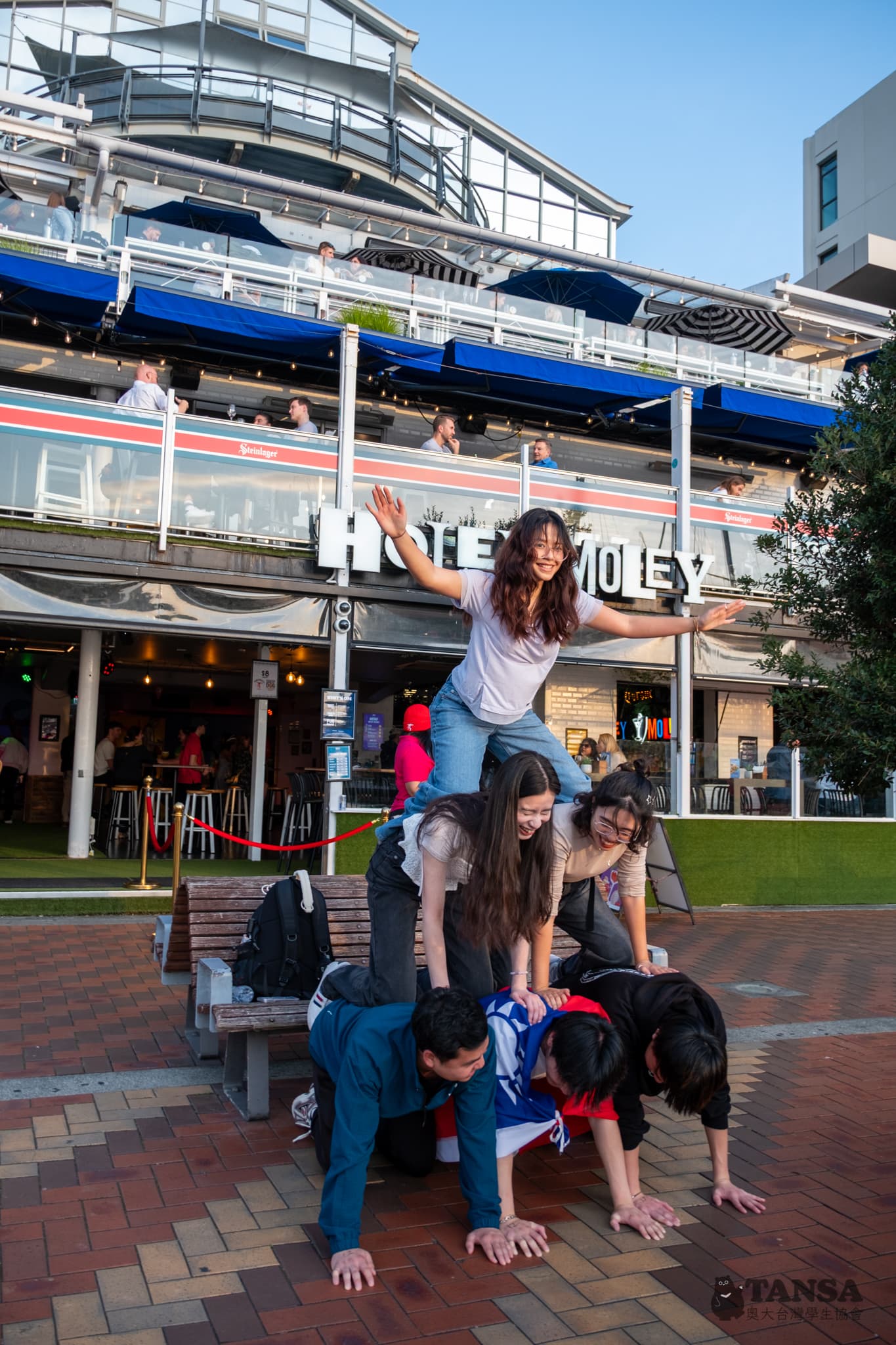 Bear Hunting 2025 photo 56