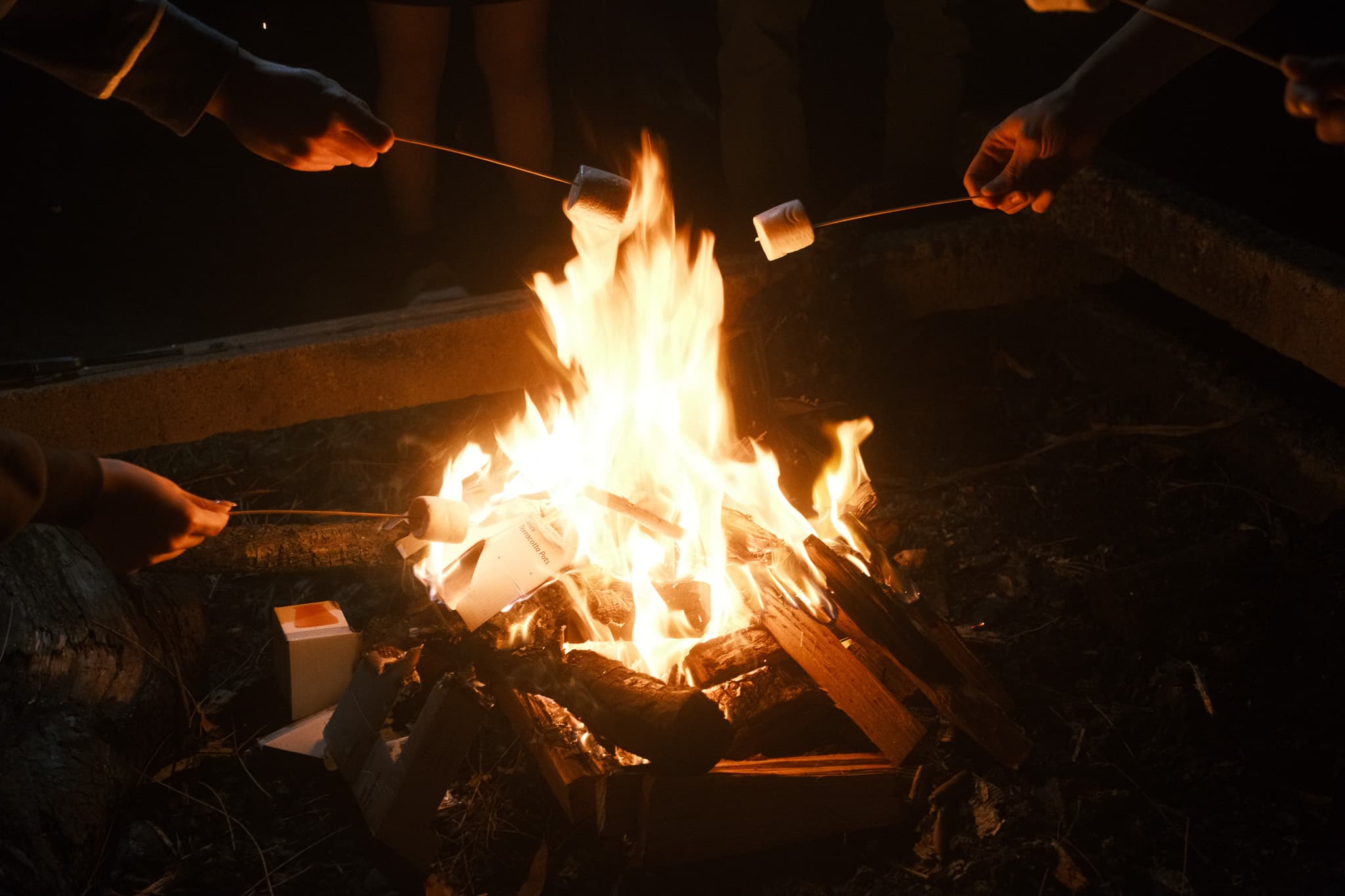 TANSA Camp 2025 photo 269