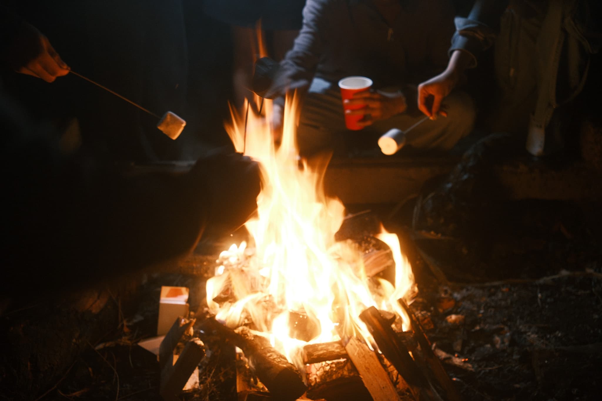 TANSA Camp 2025 photo 271