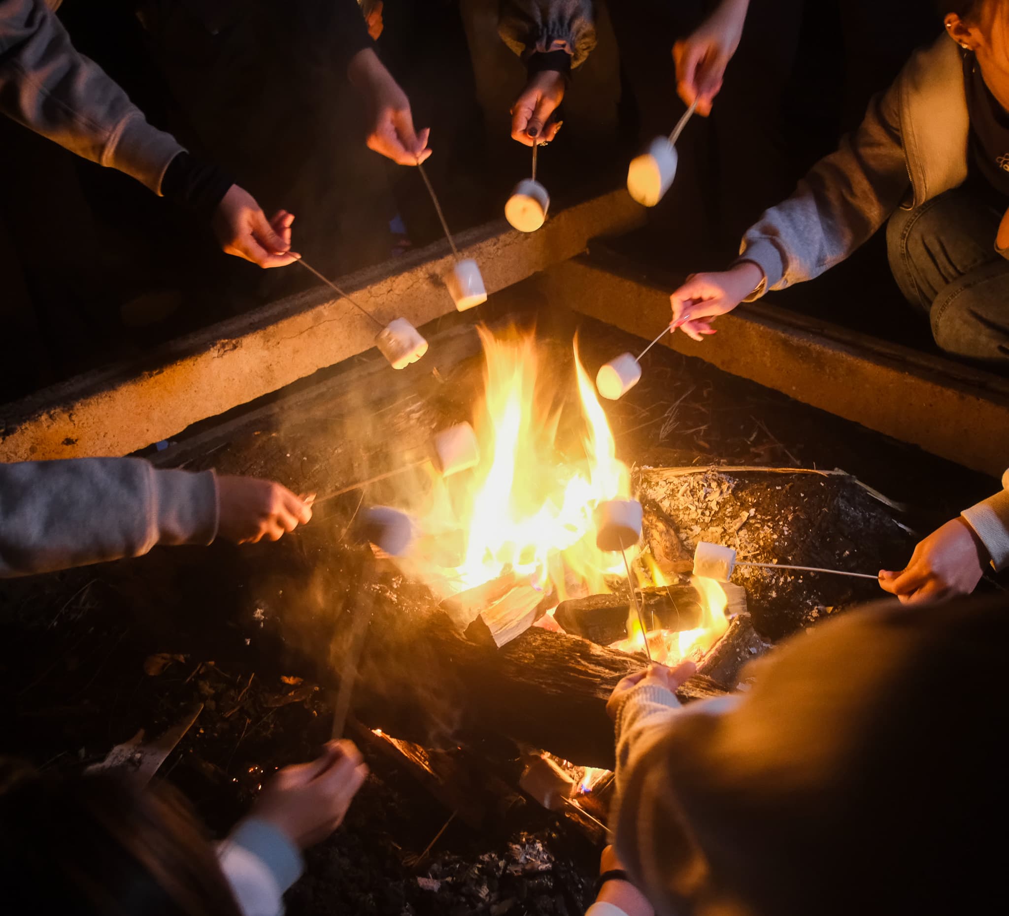 TANSA Camp 2025 photo 276