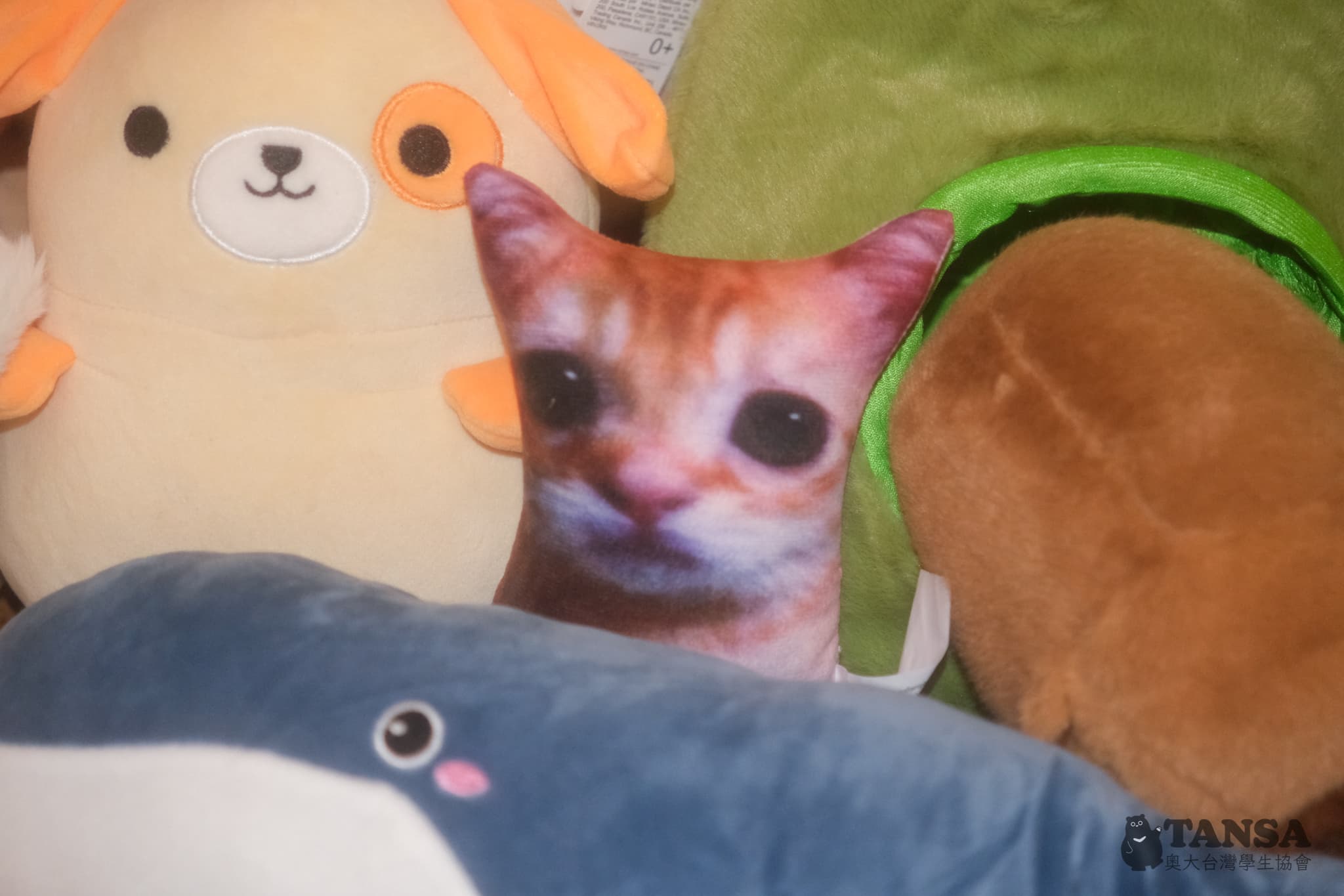 Taiwanese Night Market  photo 46